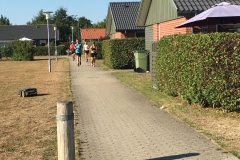 IMG_8490