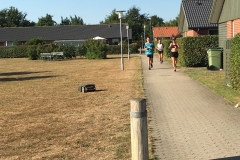 IMG_8491